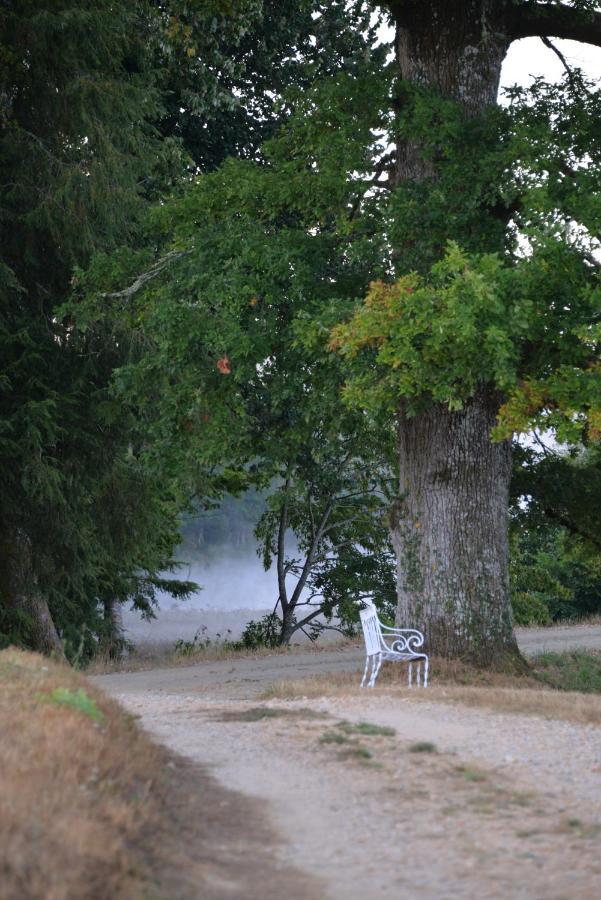 Domaine De Bort Bed and Breakfast Saint-Priest-Taurion Exteriör bild